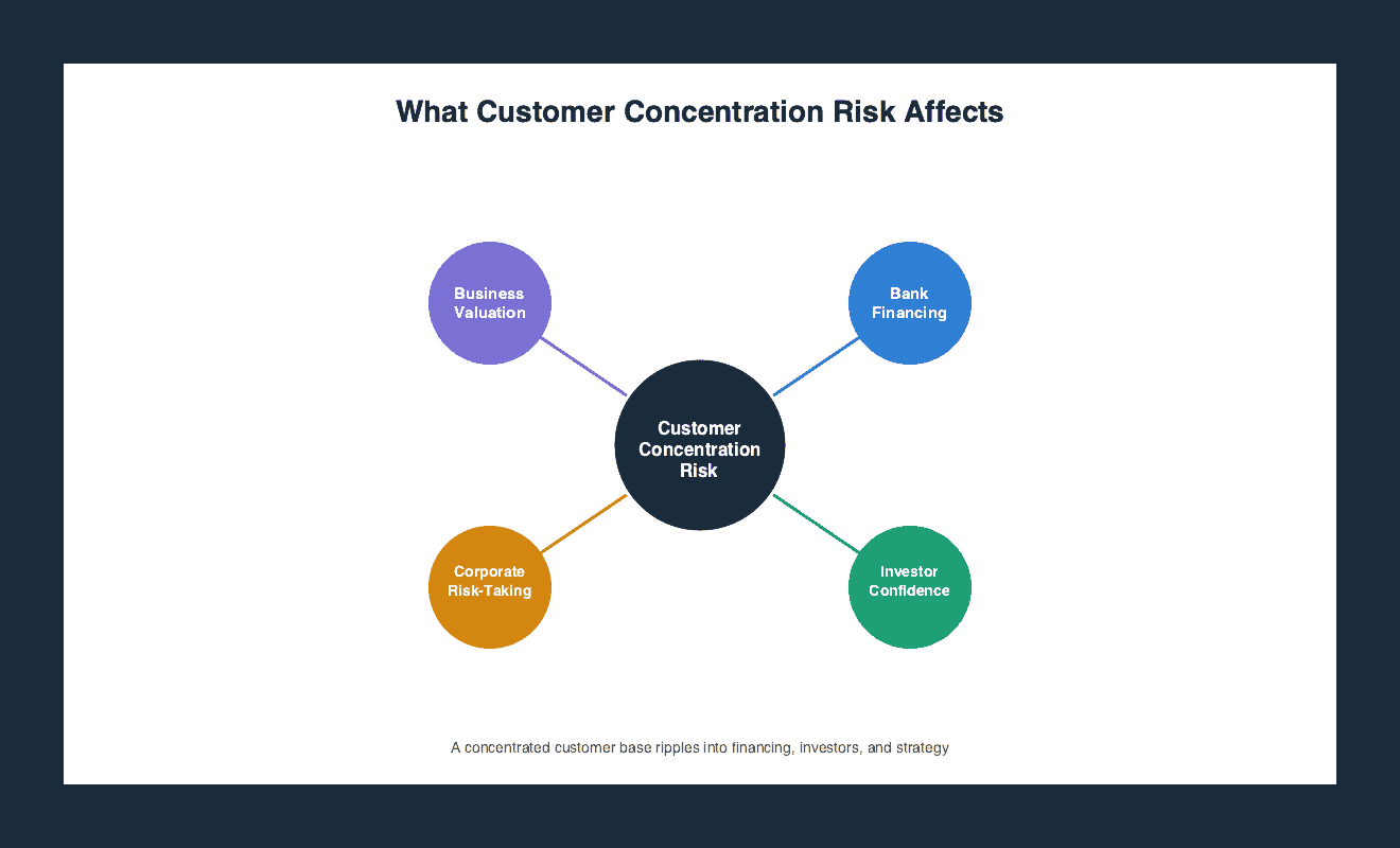 Hub and spoke diagram showing customer concentration risk at the center connected to four consequences: business valuation, bank financing, investor confidence, and corporate risk-taking